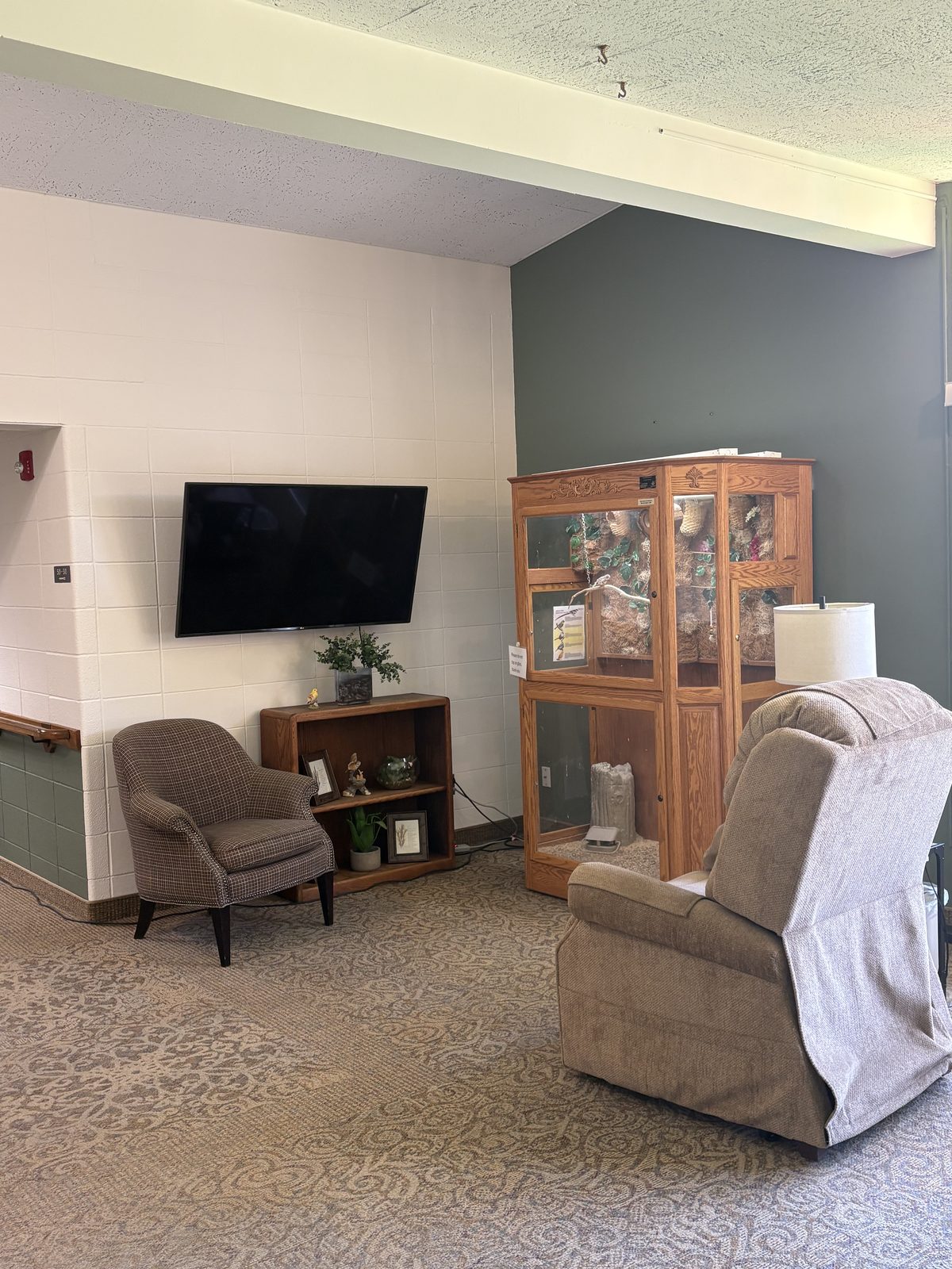 The TV lounge with our bird aviary